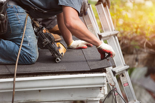 Best Roof Gutter Cleaning  in Lakes East, CT